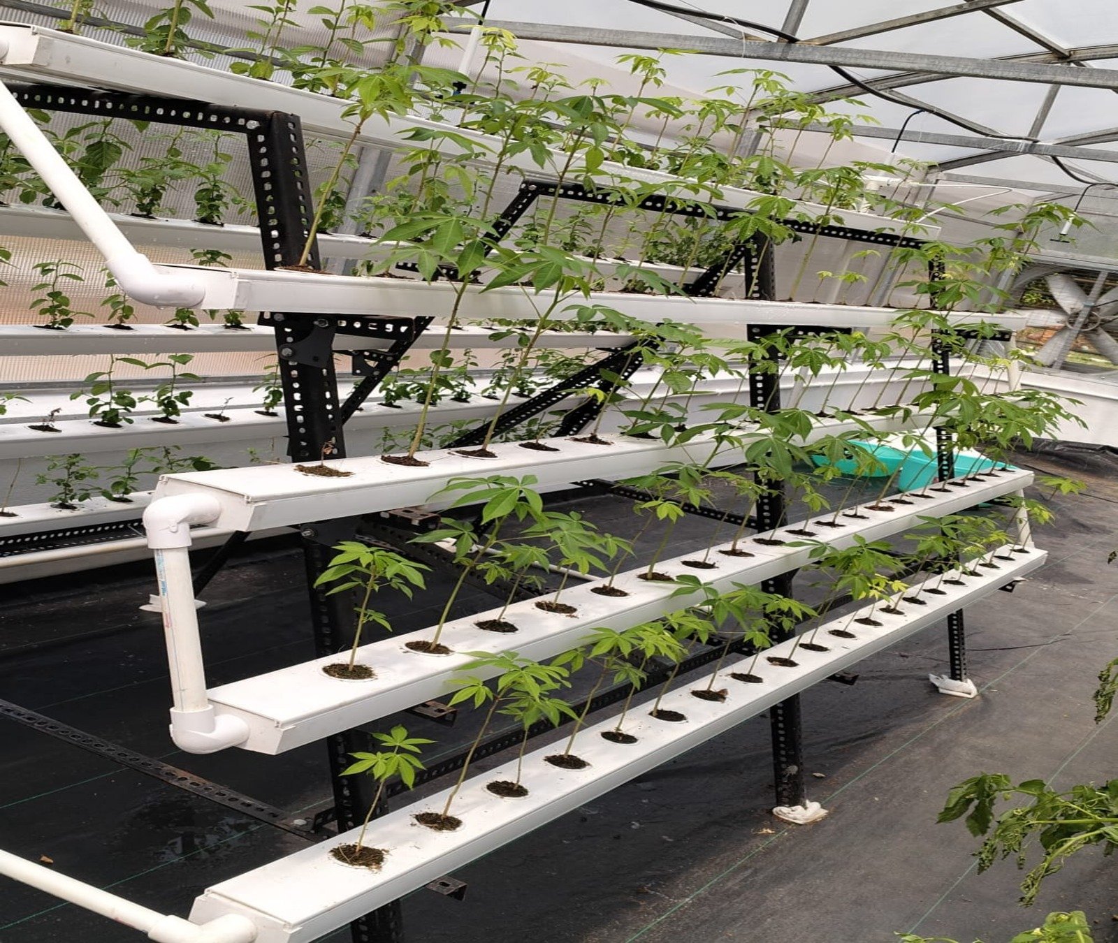 WhatsApp Image 2025-03-04 at 12.10