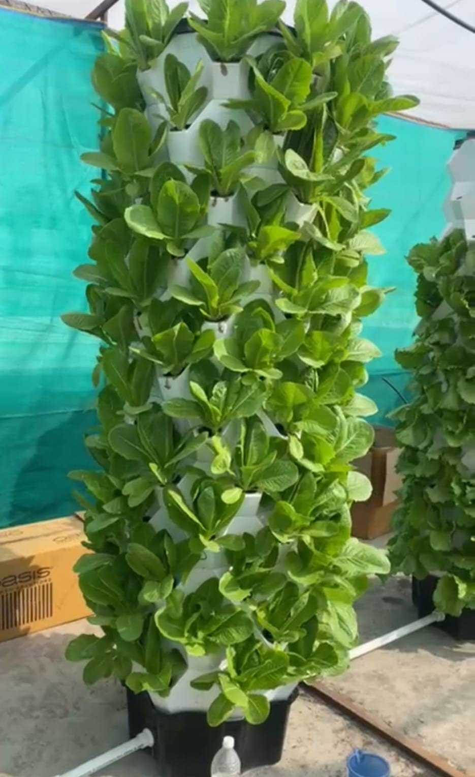 WhatsApp Image 2025-03-04 at 12.10