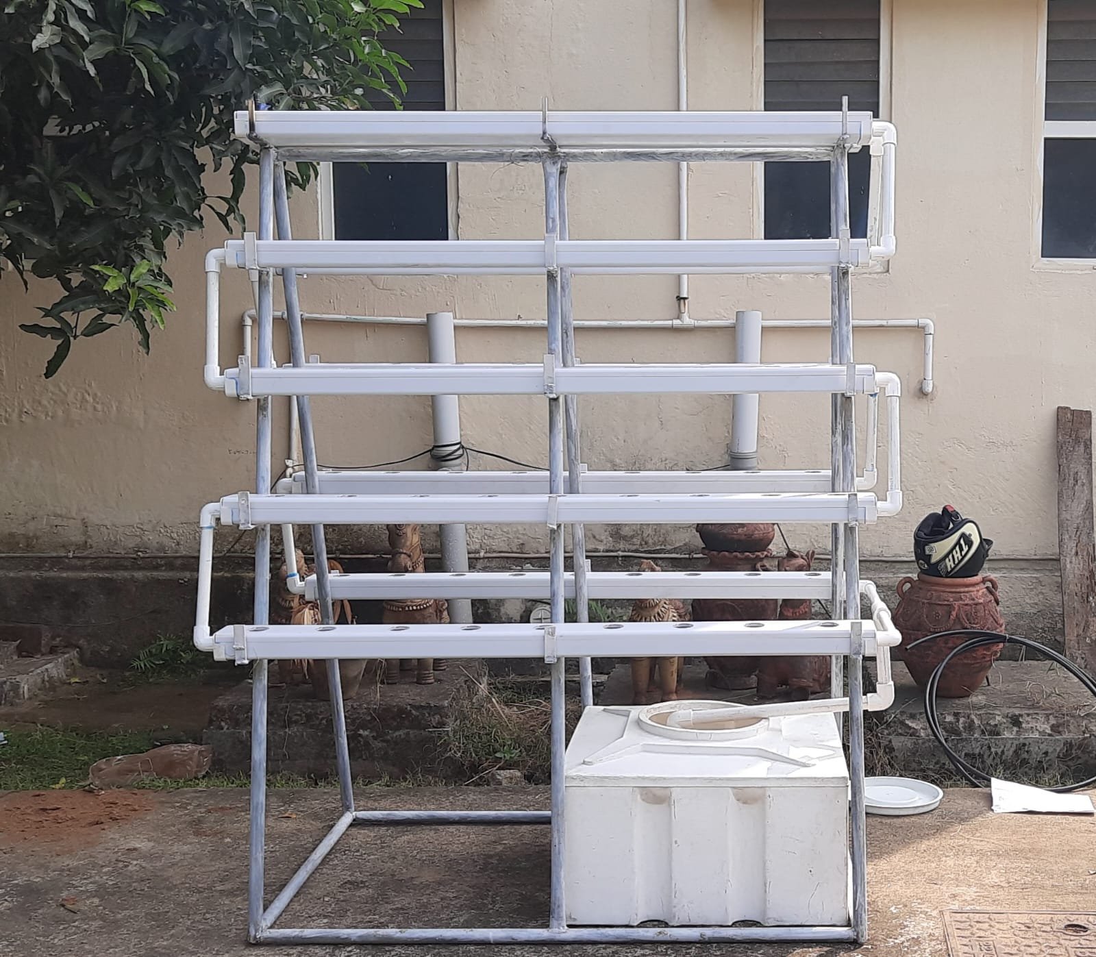 WhatsApp Image 2025-03-04 at 12.10